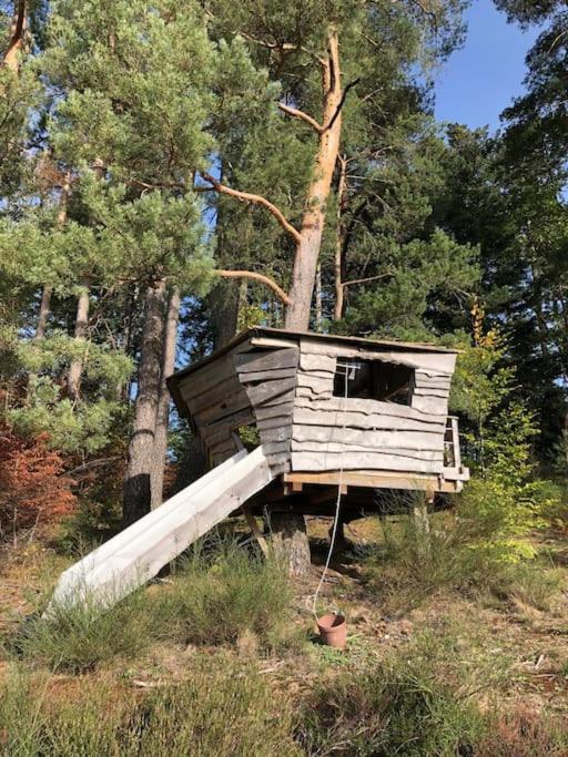 Chalet Alto Villa Basse-sur-le-Rupt Kültér fotó