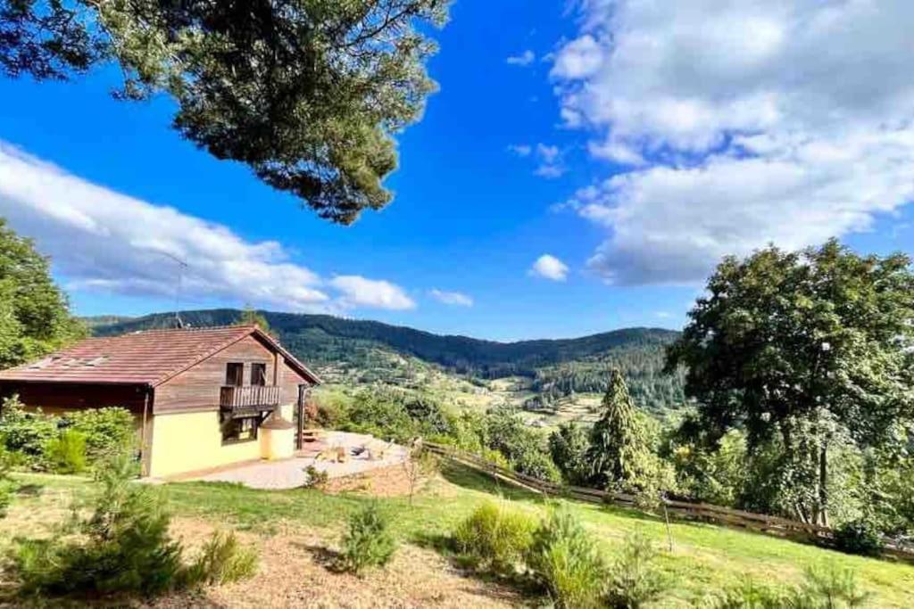 Chalet Alto Villa Basse-sur-le-Rupt Kültér fotó