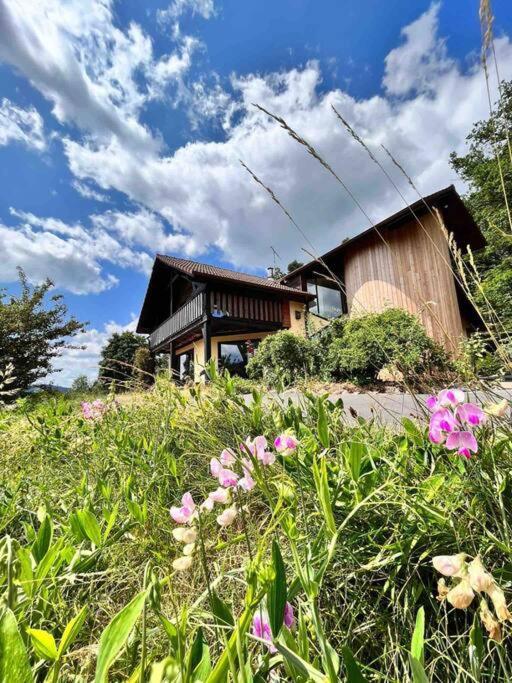 Chalet Alto Villa Basse-sur-le-Rupt Kültér fotó